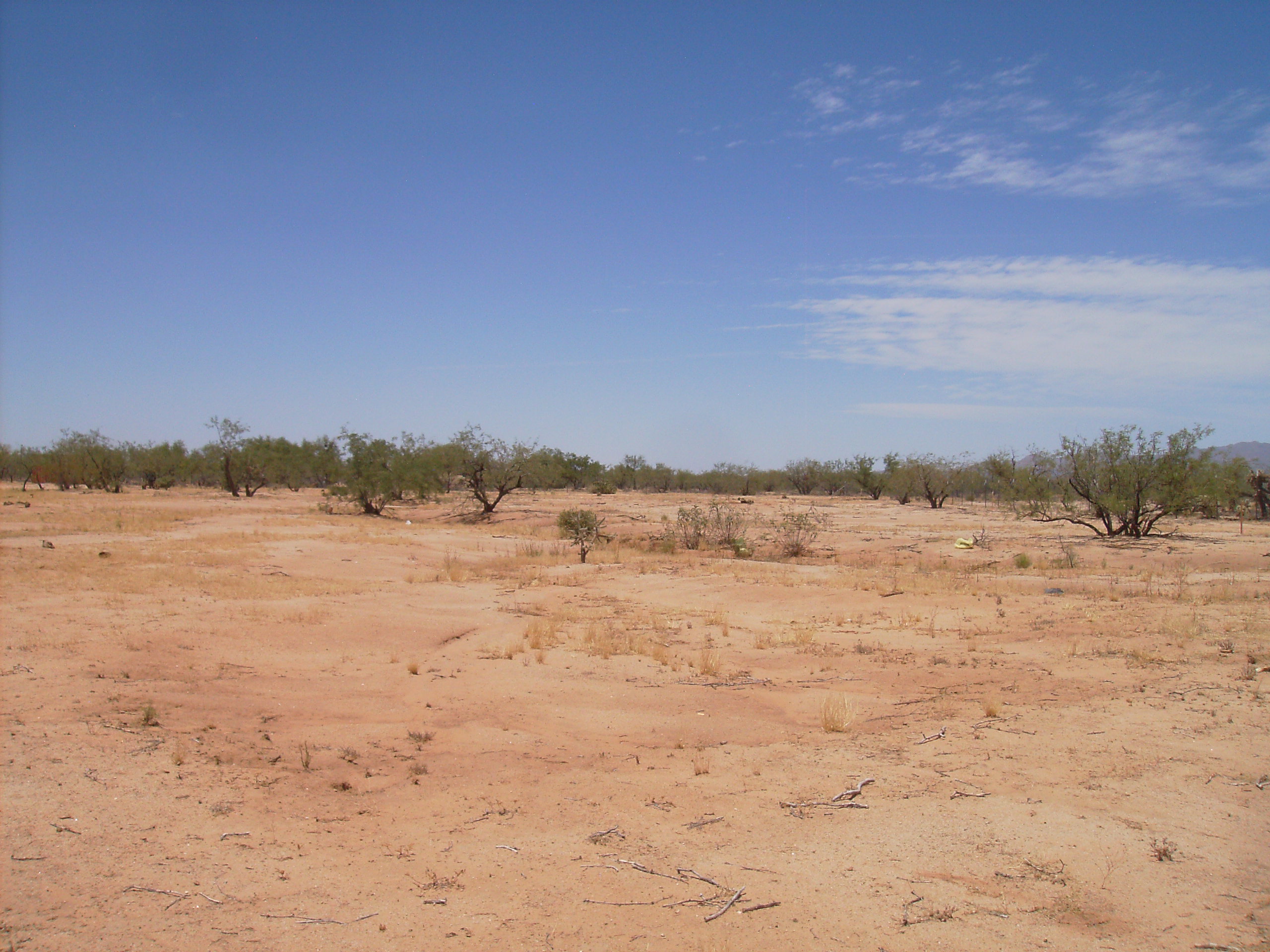 4.13 acres — Tucson AZ desert land